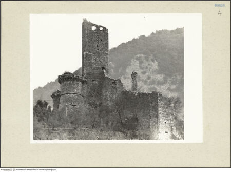 Vorderseite von bh228488_recto