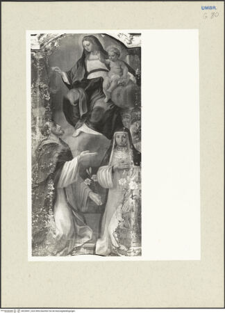 Vorderseite von bh228491_recto