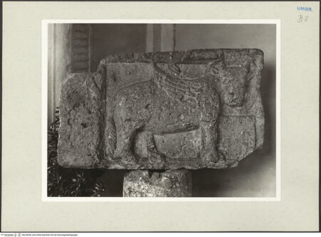 Vorderseite von bh228528_recto