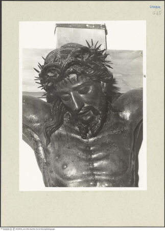 Vorderseite von Getty Research Institute [https://www.deutsche-digitale-bibliothek.de/content/lizenzen/rv-ez/] Kreuzigungsgruppe (Dolenti di Sant’Anatolia di Narco)Corpus Christi von einem Kruzifix - Corpus, Detail: Kopf und Schultern (vor der Restaurierung), bh228536_recto. Foto: Hutzel, Max.
