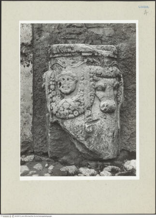 Vorderseite von bh228572_recto