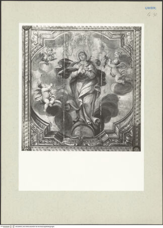 Vorderseite von bh228599_recto