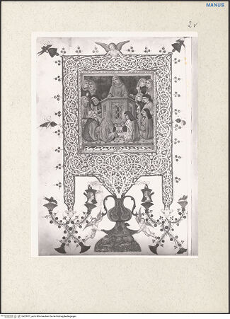 Vorderseite von bh228701_recto