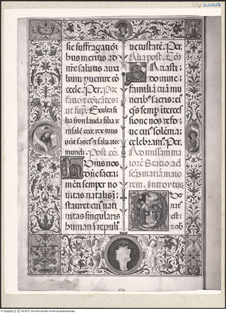 Vorderseite von bh228737_recto