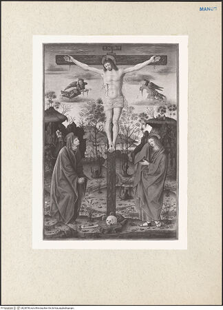 Vorderseite von bh228738_recto