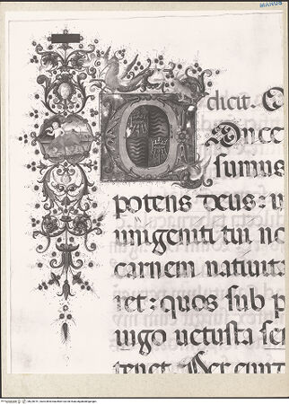 Vorderseite von bh228741_recto