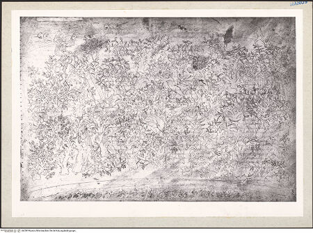 Vorderseite von bh228749_recto