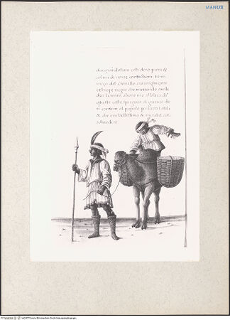 Vorderseite von bh228755_recto