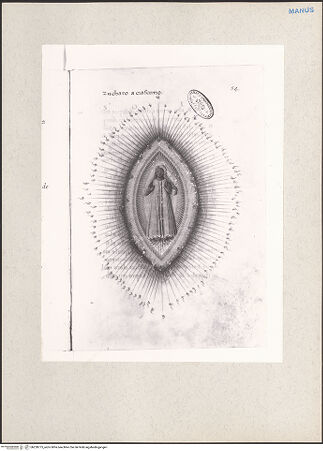 Vorderseite von bh228775_recto