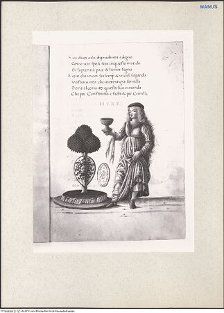 Vorderseite von bh228781_recto