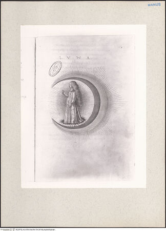 Vorderseite von bh228782_recto