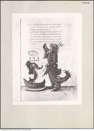 Vorderseite von bh228784_recto