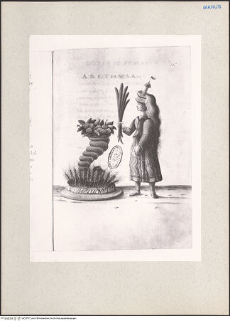 Vorderseite von bh228787_recto