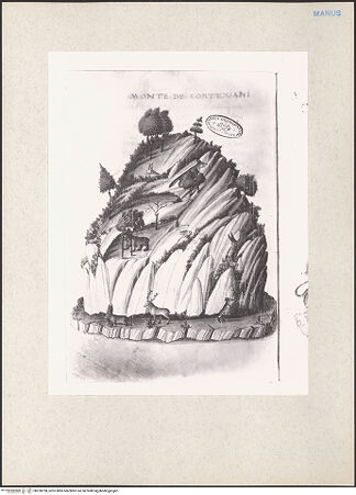 Vorderseite von bh228790_recto