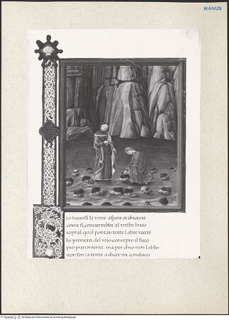 Vorderseite von bh228804_recto