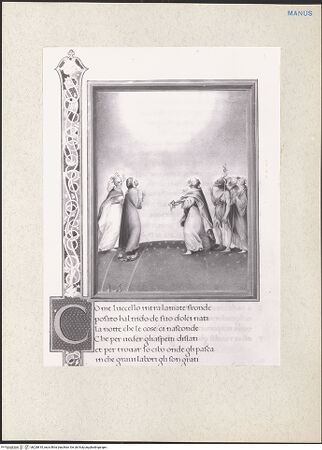 Vorderseite von bh228810_recto