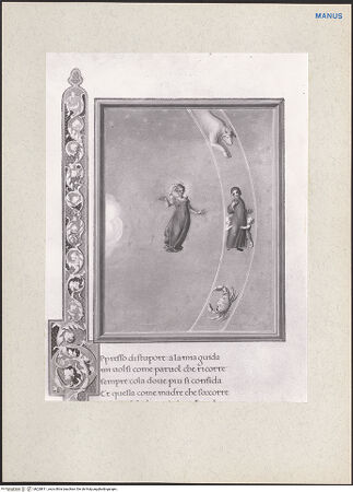 Vorderseite von bh228811_recto