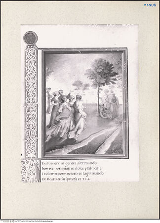 Vorderseite von bh228823_recto