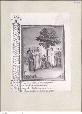 Vorderseite von bh228824_recto