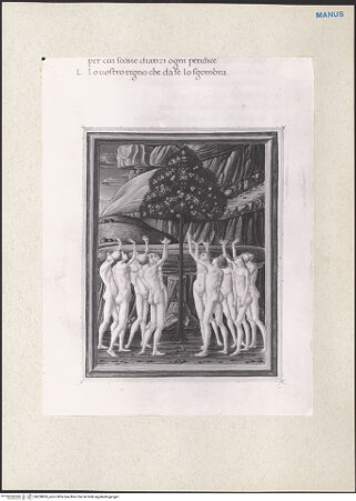 Vorderseite von bh228835_recto