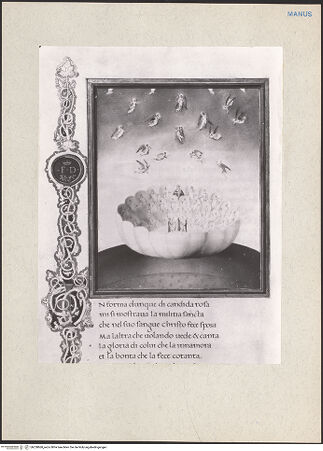 Vorderseite von bh228868_recto