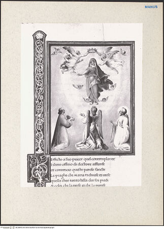 Vorderseite von bh228869_recto