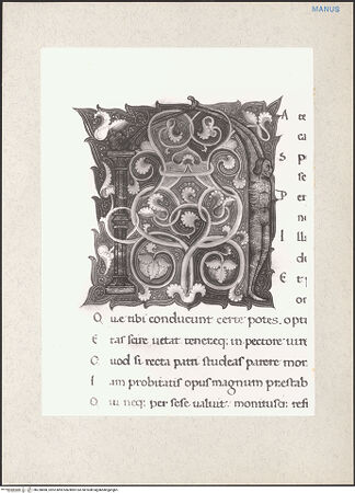 Vorderseite von bh228888_recto