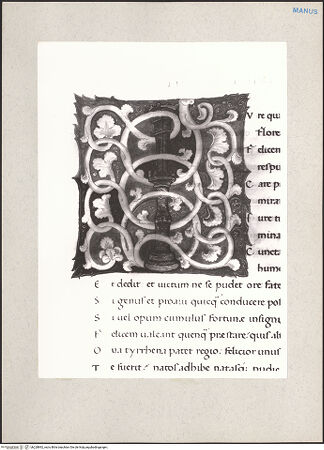 Vorderseite von bh228892_recto