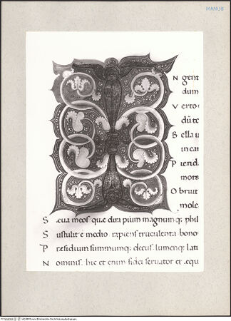 Vorderseite von bh228895_recto