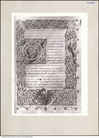 Vorderseite von bh228896_recto