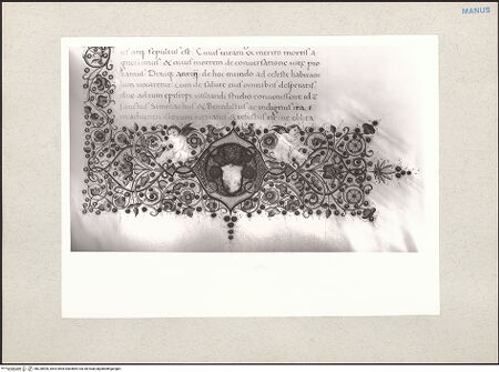 Vorderseite von bh228900_recto