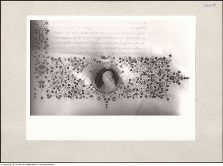 Vorderseite von bh228901_recto