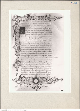 Vorderseite von bh228902_recto