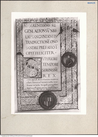 Vorderseite von bh228904_recto