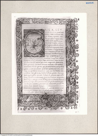 Vorderseite von bh228912_recto