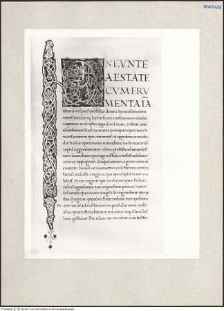 Vorderseite von bh228917_recto