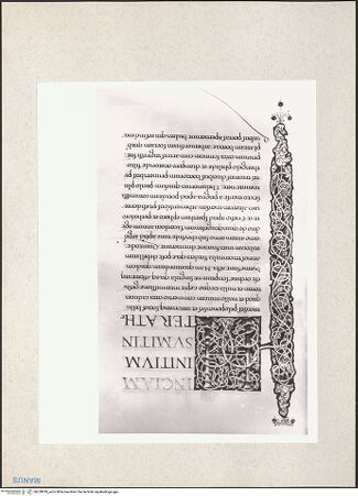 Vorderseite von bh228918_recto