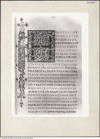 Vorderseite von bh228923_recto