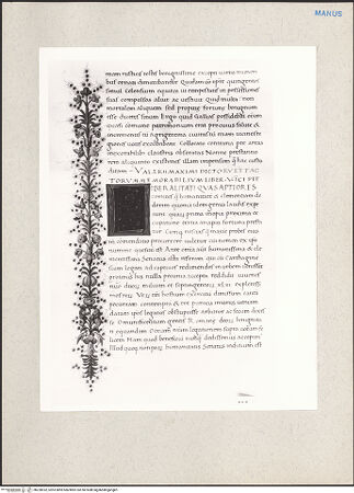 Vorderseite von bh228932_recto