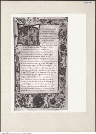 Vorderseite von bh228936_recto