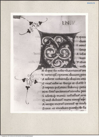 Vorderseite von bh228938_recto