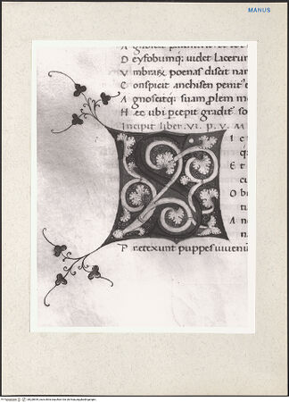 Vorderseite von bh228939_recto