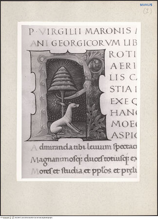 Vorderseite von bh228947_recto