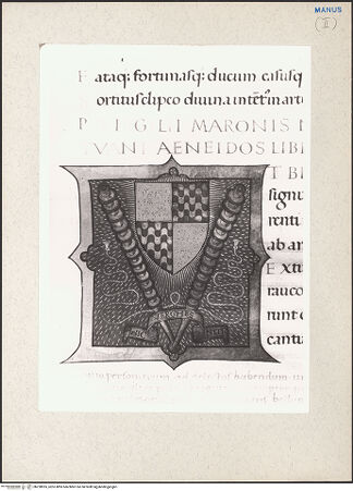 Vorderseite von bh228955_recto