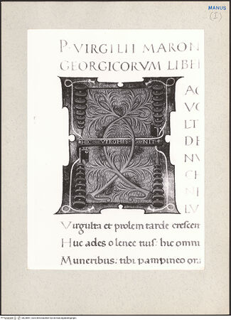 Vorderseite von bh228961_recto