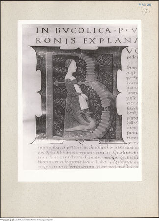 Vorderseite von bh228966_recto