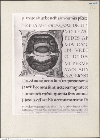 Vorderseite von bh228968_recto