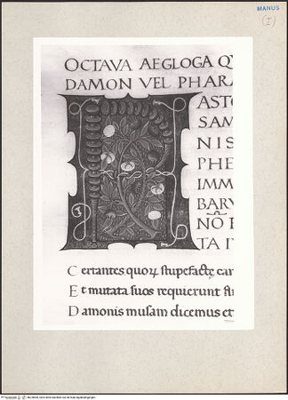 Vorderseite von bh228969_recto