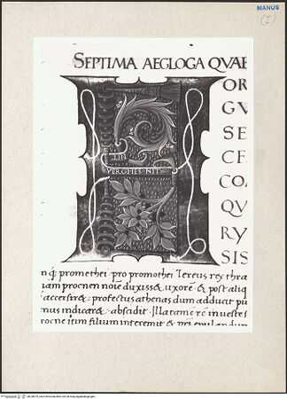 Vorderseite von bh228970_recto