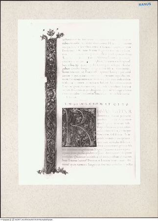 Vorderseite von bh229011_recto